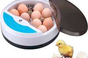 Egg incubator Chicken Incubators for hatching eggs with Automatic Temperature and Humidity Control (9 Eggs) - Chick Brooder - chicken eggs, Duck, Quail eggs, Goose and incubator Box kit (FREE SHIPPING)