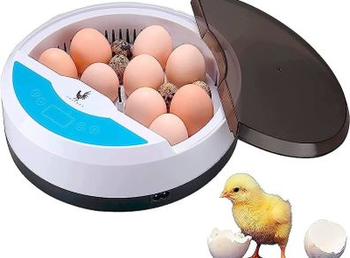 Egg incubator Chicken Incubators for hatching eggs with Automatic Temperature and Humidity Control (9 Eggs) - Chick Brooder - chicken eggs, Duck, Quail eggs, Goose and incubator Box kit (FREE SHIPPING)