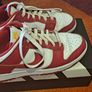 Nike Dunk Image 2