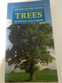 Trees of Britain and Europe