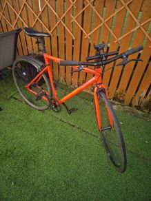Elops fixie