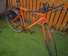 Elops fixie