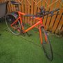 Elops fixie Image 2