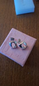 Sterling Silver Earrings Stone