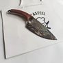 Outdoor Knife 6 Inch Image 5