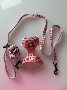 dog harness, lead, and poop bag holder xs