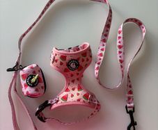 dog harness, lead, and poop bag holder xs