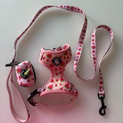 dog harness, lead, and poop bag holder xs