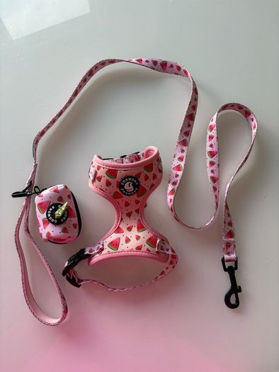 dog harness, lead, and poop bag holder xs