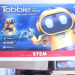 New Tobbie the Robot, Construct