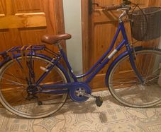 Ladies Viking insync bike