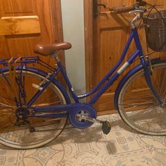 Ladies Viking insync bike