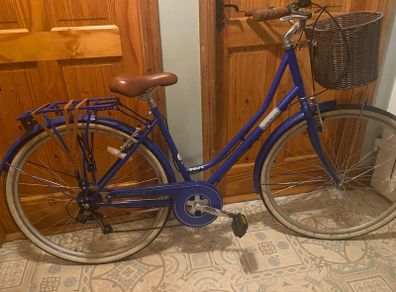 Ladies Viking insync bike