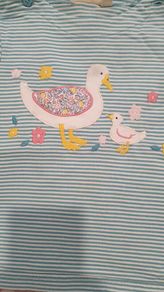 jojo maman tshirt/top