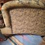 Vintage Upholstered Armchair Image 5