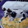 Antique Staffordshire Cow Butter Dish Image 2
