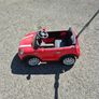 push car Image 4