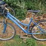 Adolescent/young teens bikes x4 Image 3