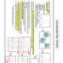Leaving Cert Design and Communication Graphics Institute Notes Image 7