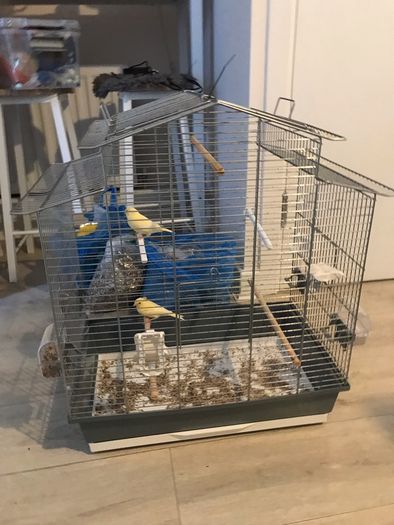 cage