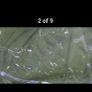 tent Image 4
