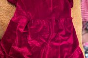 Red Velour Dog Dress