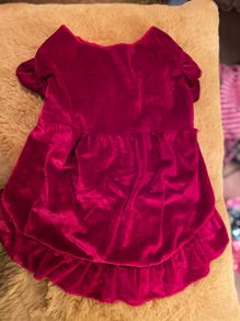 Red Velour Dog Dress