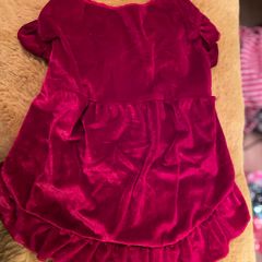 Red Velour Dog Dress