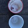 4 small ceramic flower pots Image 7