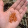 Gemstone beads Image 9