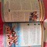 Toraiocht Teanga Irish textbook LC Image 6