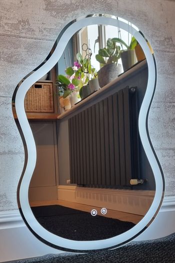 LED Bathroom Mirror 55x80cm Antifog Bedroom Bathroom Dressing Table