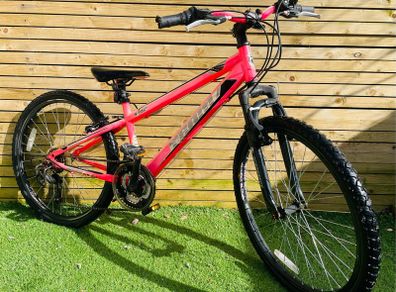 Read ad 24 inch bike