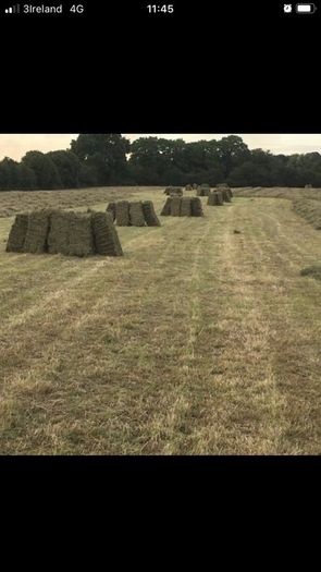 Small square bales of hay