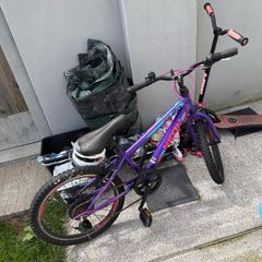 free stuff