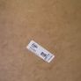 Large IKEA Framed Dandelion Print Image 3