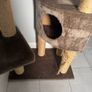 Cat Tree Image 3