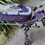 Stroller Image 2