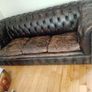 antique chesterfield in rare cigar brown Image 6