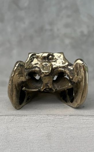 Saltwater Crocodile Skull - Polished Bronze