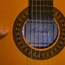 Herald Guitar Image 5