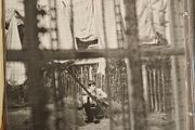 Paul McCartney - Chaos And Creation In The Backyard.