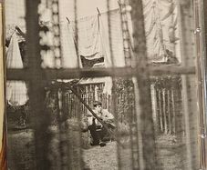 Paul McCartney - Chaos And Creation In The Backyard.