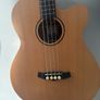 Tanglewood Acoustic Bass Image 4