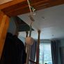 Infantino 2-in-1 Music & Lights Doorway Jumper Image 6