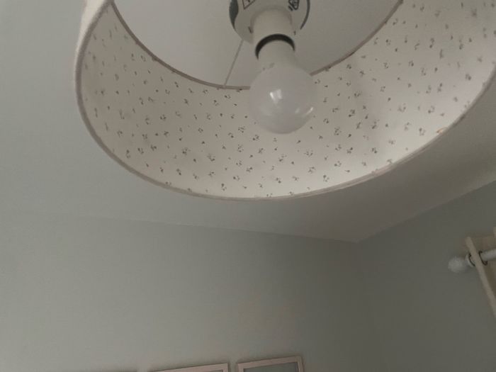 Baby girl light shade mamas and papas