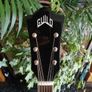 Guild 250E Deluxe Westerly Guitar Image 2