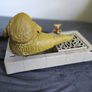 Vintage Star Wars Jabba The Hutt Playset Kenner 1983 Salacious B. Crumb Return Of The Jedi Tatooine Image 3