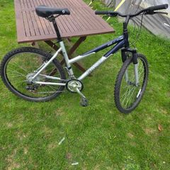 Giant Rock Ladies Mountain Bike 21 Speed