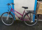 Ladies  Bicycle